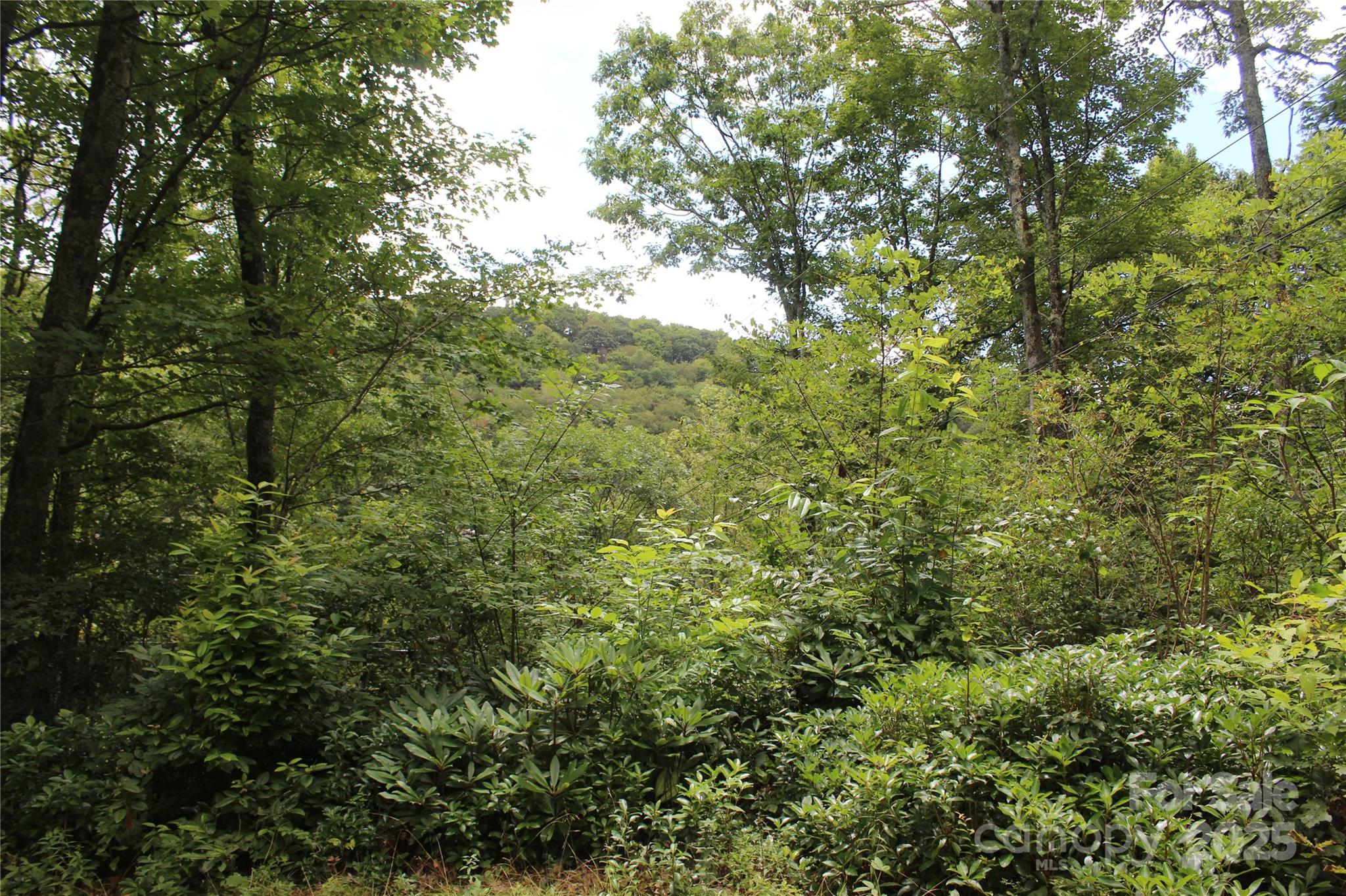 920 Autumn Drive Maggie Valley NC 28751