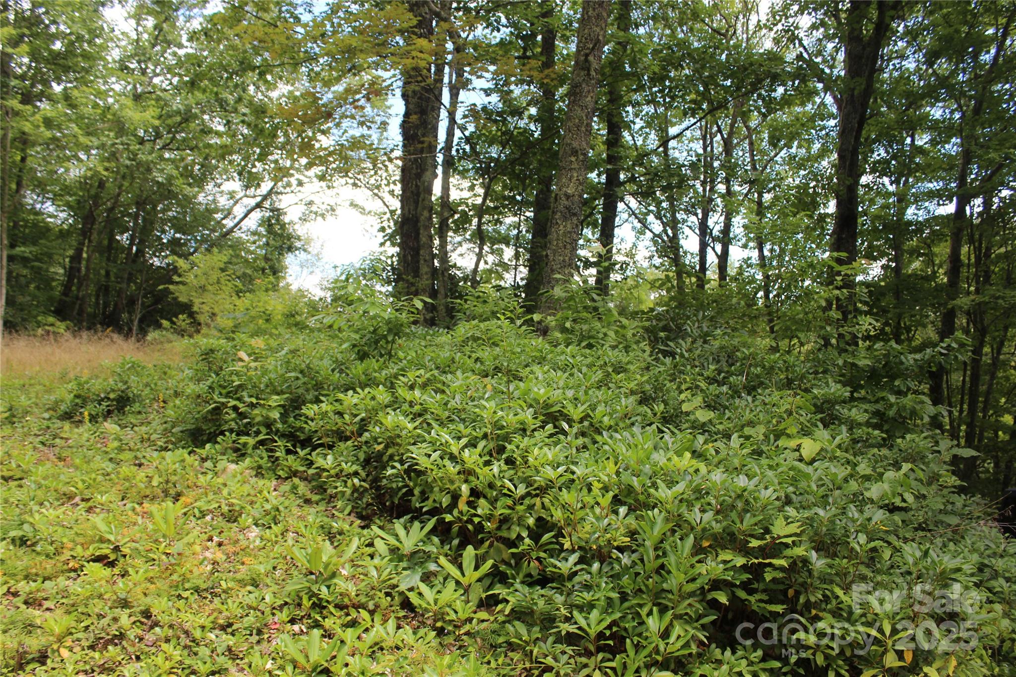 920 Autumn Drive Maggie Valley NC 28751