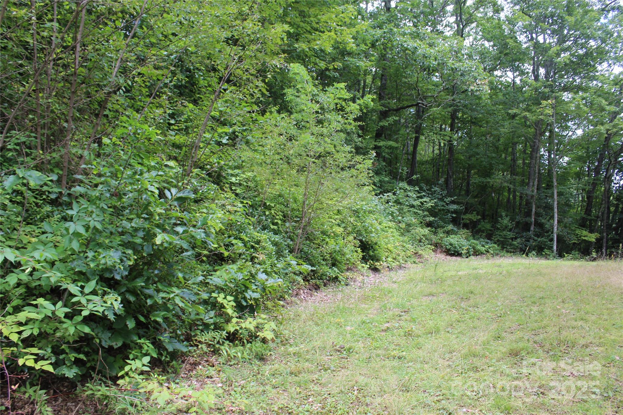 920 Autumn Drive Maggie Valley NC 28751