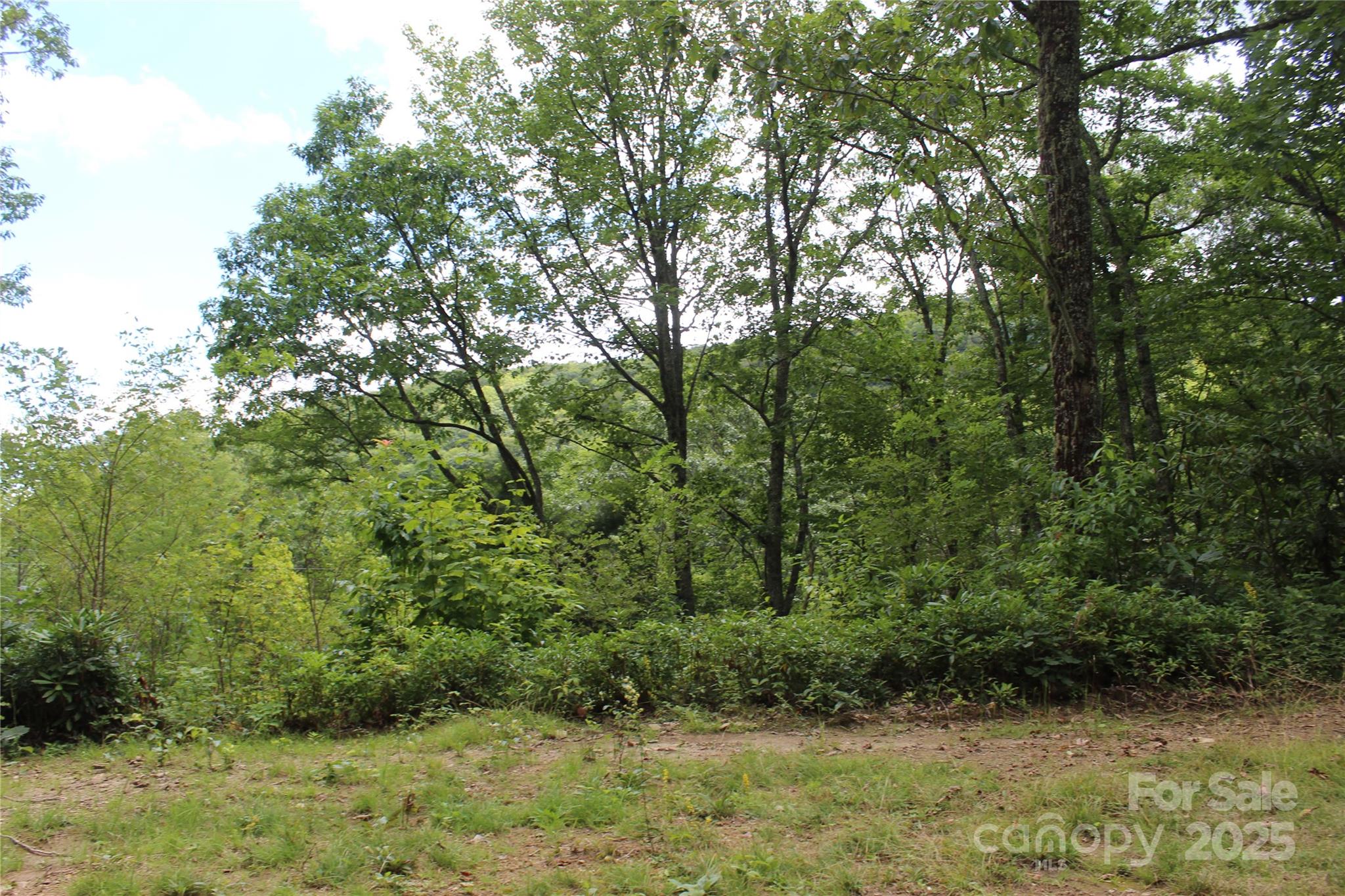920 Autumn Drive Maggie Valley NC 28751