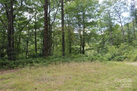 920 Autumn Drive Maggie Valley NC 28751