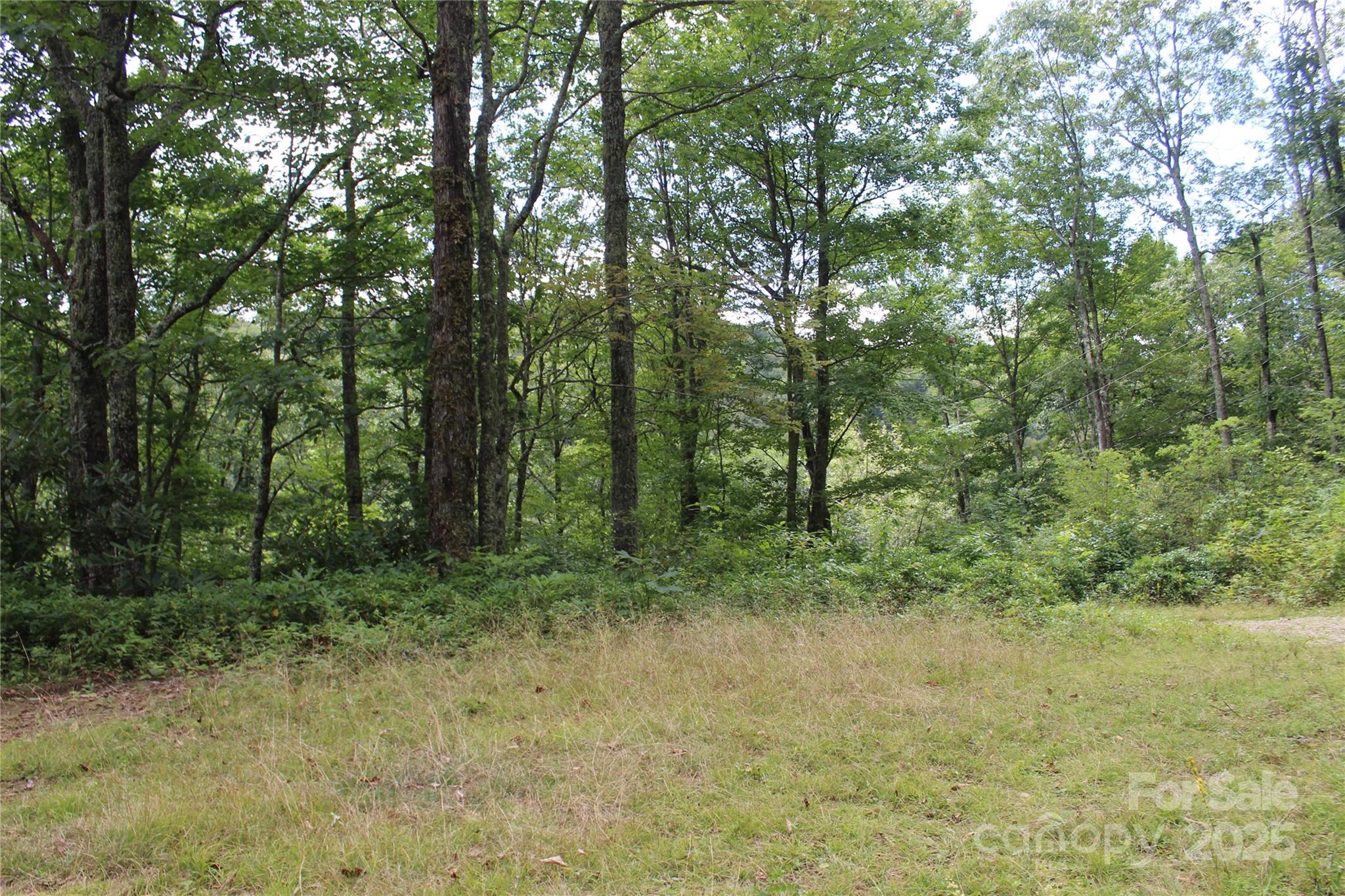 920 Autumn Drive Maggie Valley NC 28751