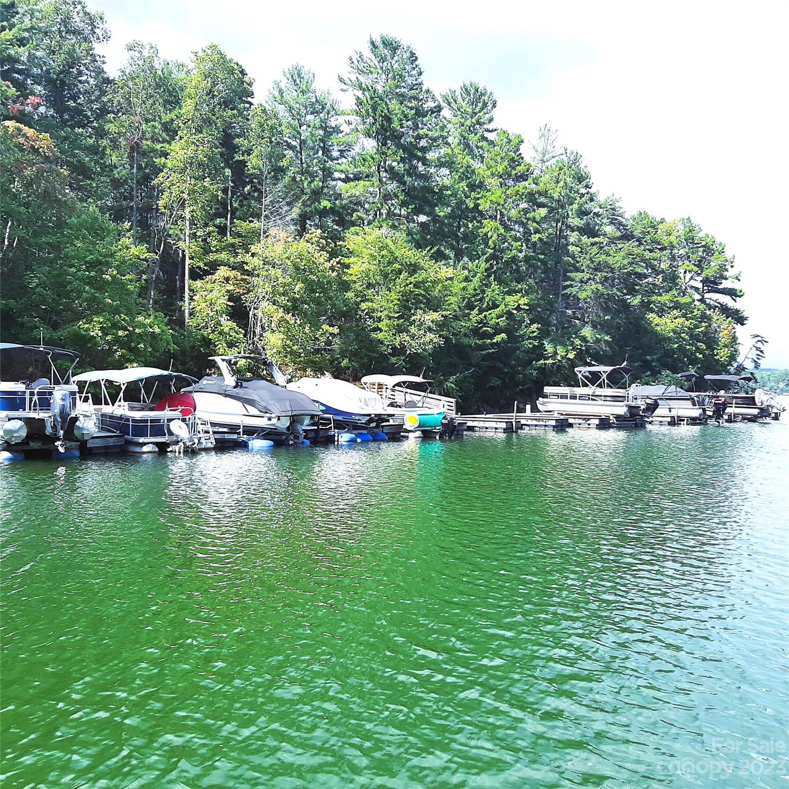 224 Settlement Ridge Drive Marion NC 28752