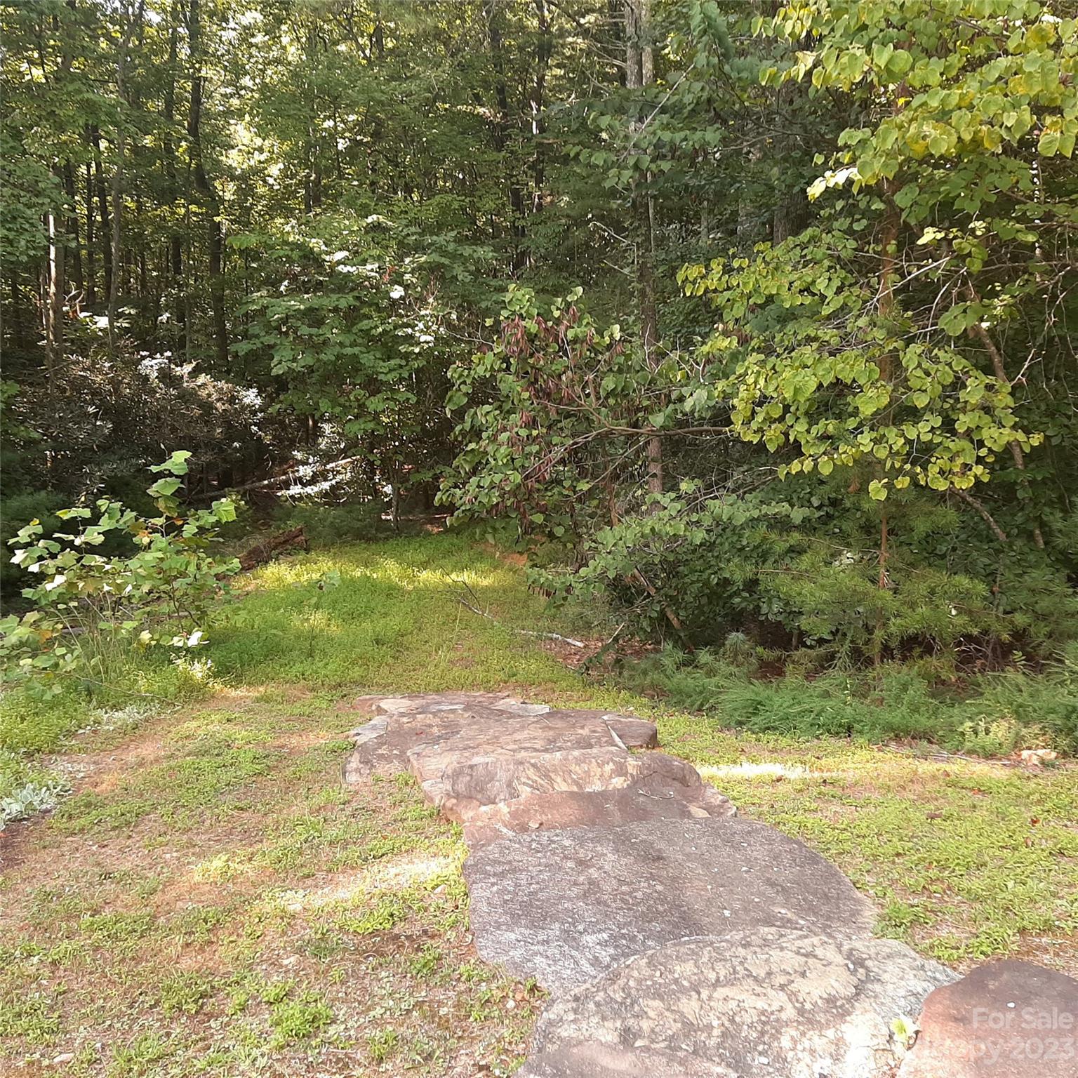 224 Settlement Ridge Drive Marion NC 28752