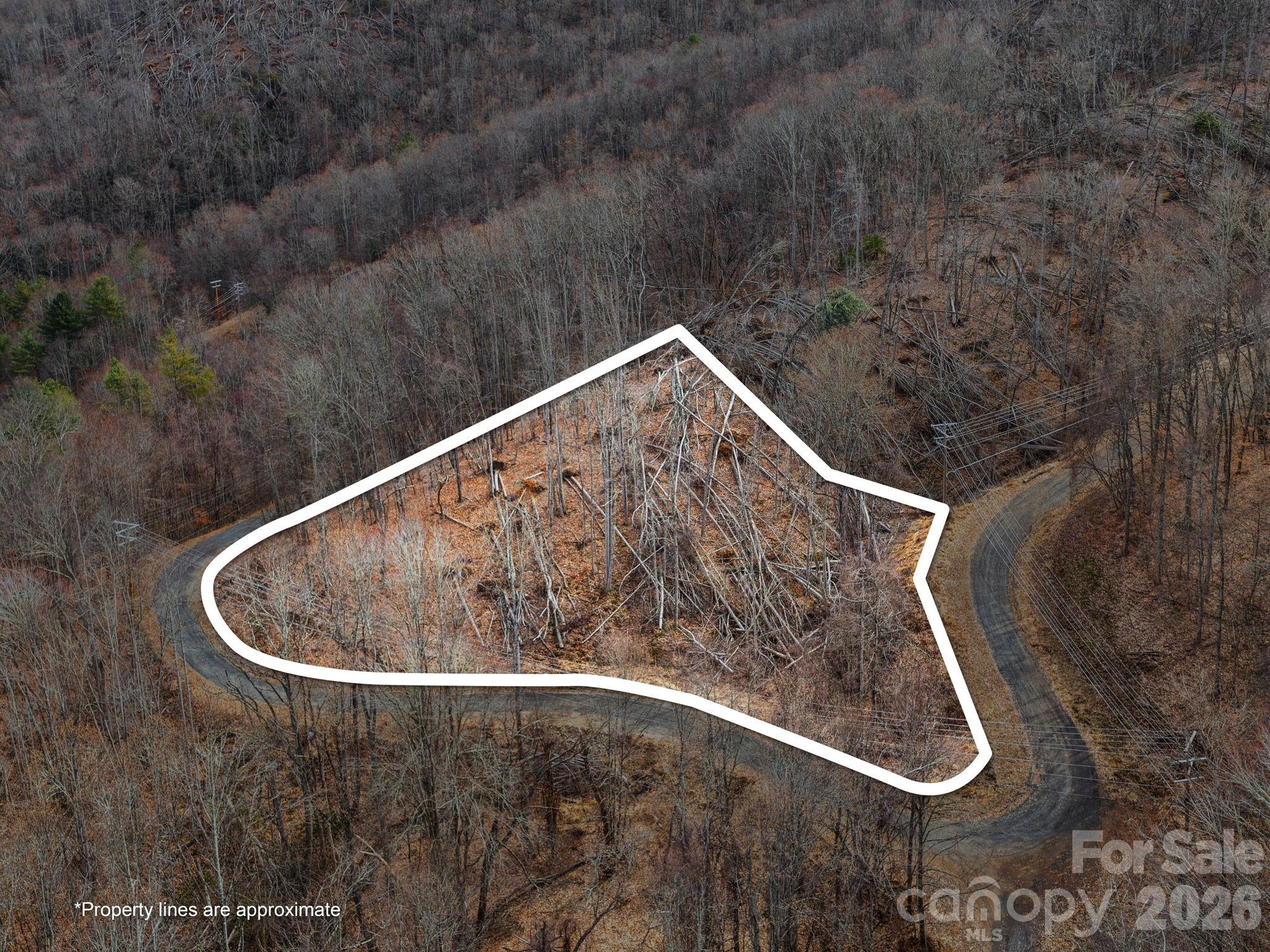 99999 Winterberry Road Burnsville NC 28714