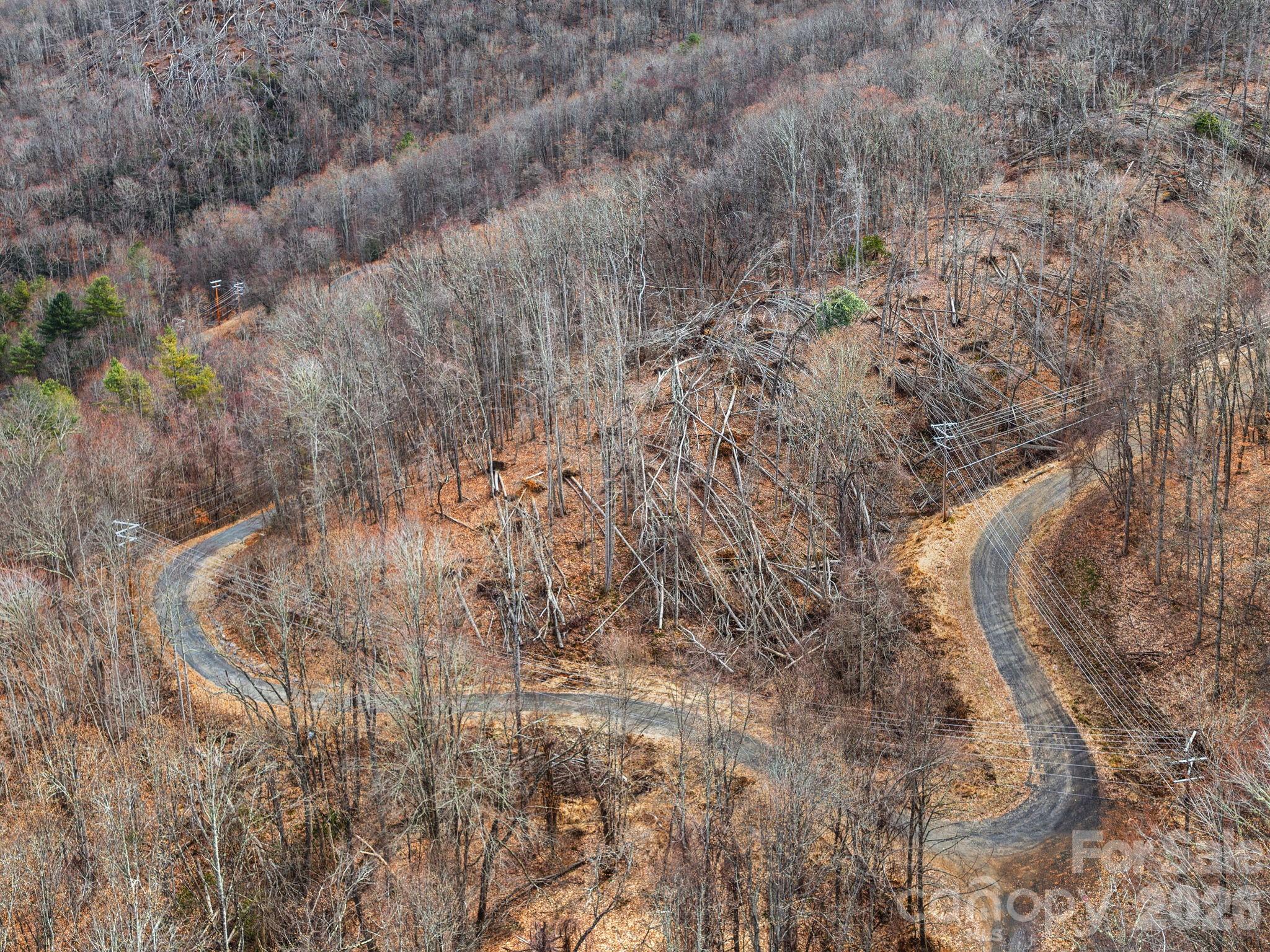 99999 Winterberry Road Burnsville NC 28714