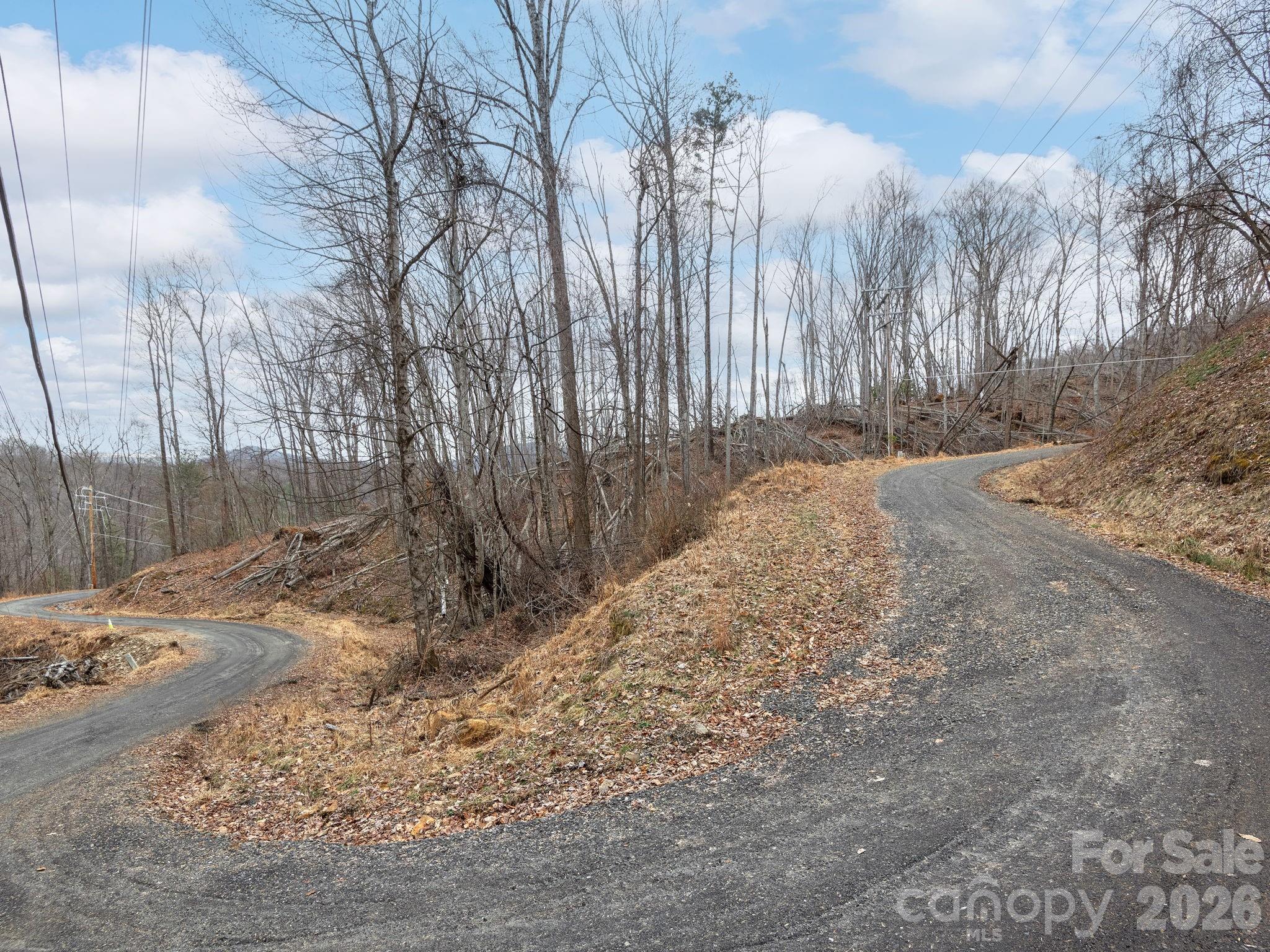 99999 Winterberry Road Burnsville NC 28714