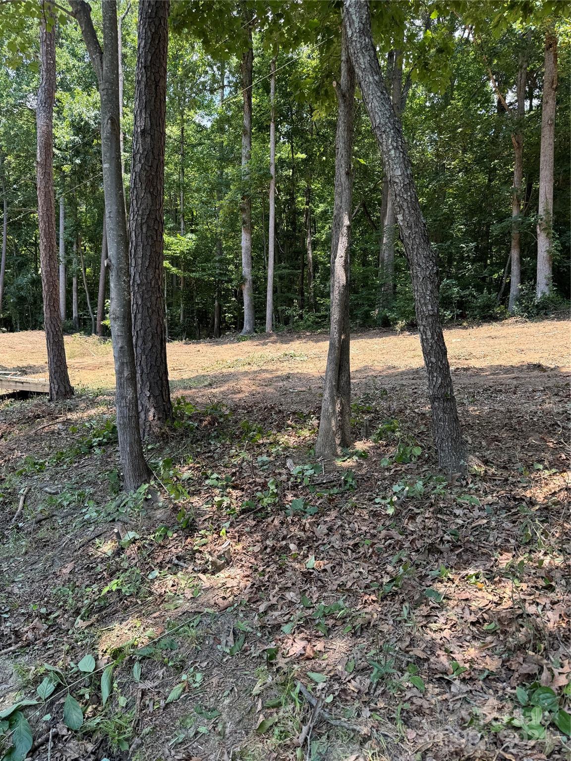 8733 Holdsclaw Road Terrell NC 28682