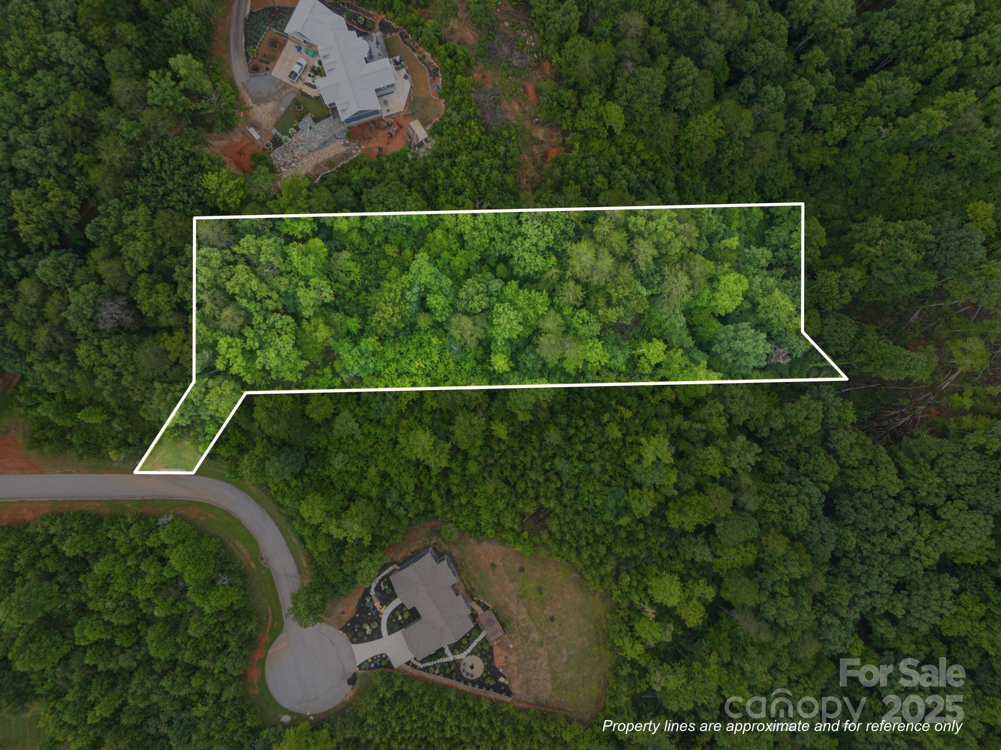 99999 Deer Jump Trail Lake Lure NC 28746