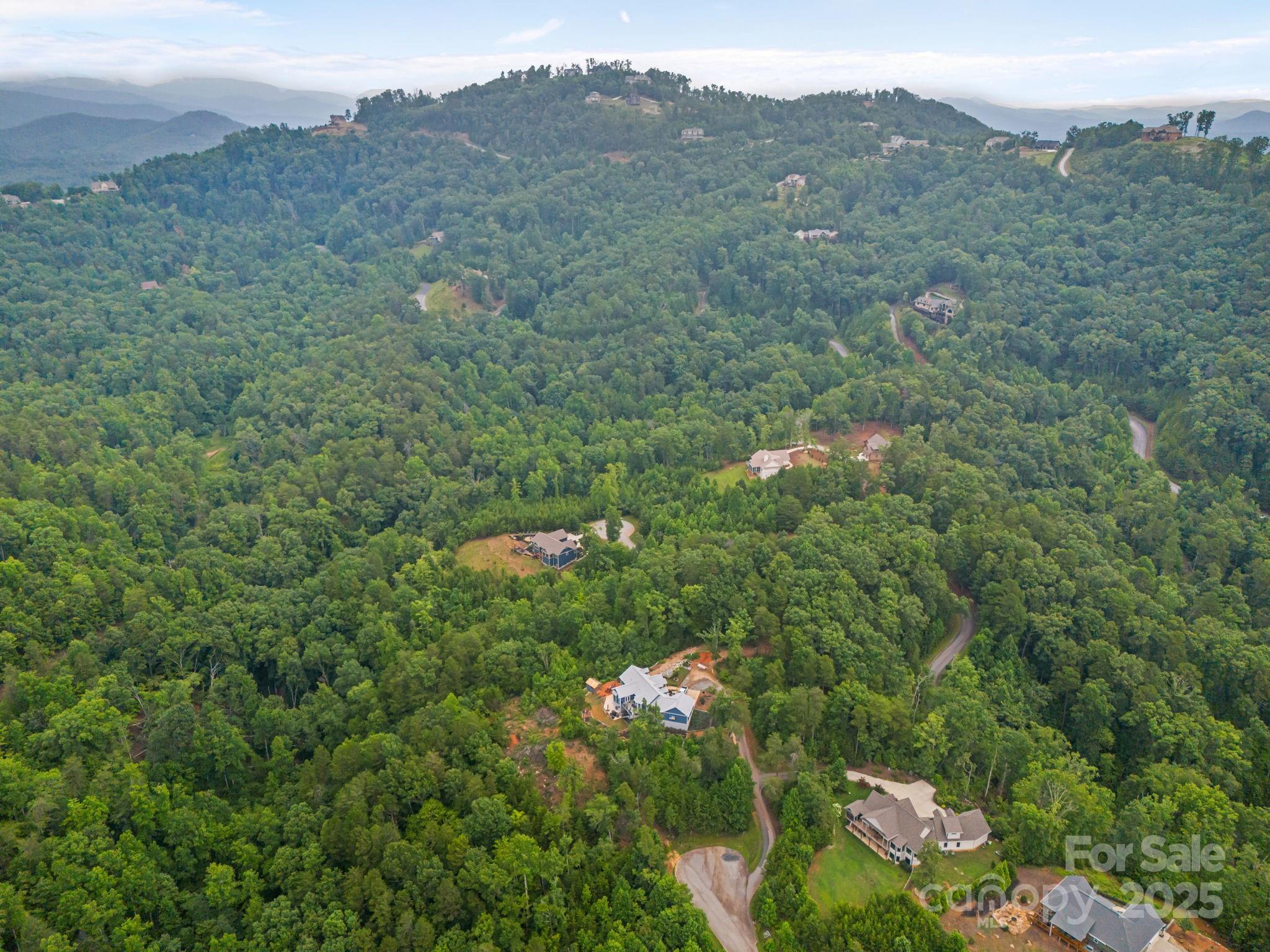 99999 Deer Jump Trail Lake Lure NC 28746