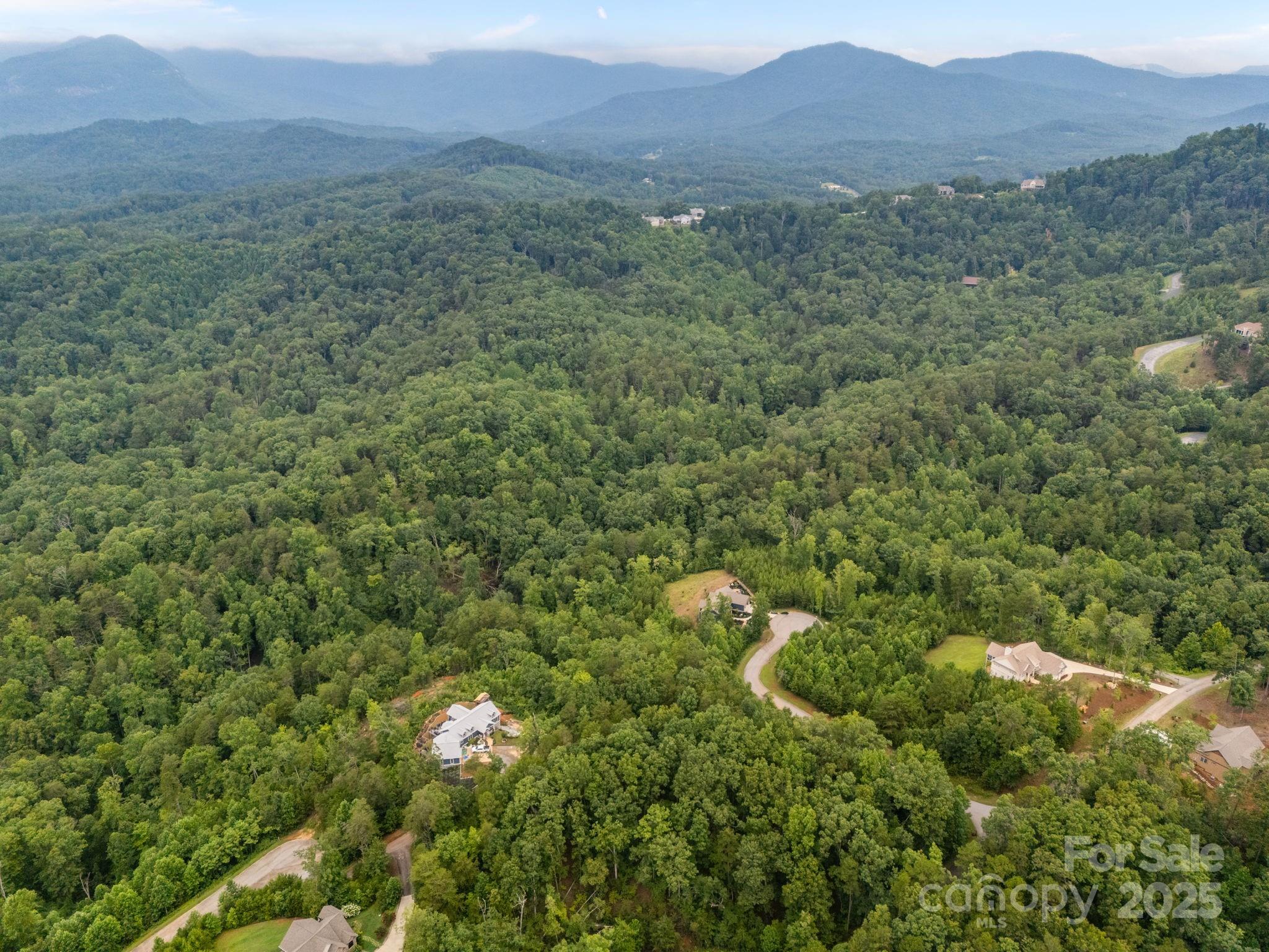 99999 Deer Jump Trail Lake Lure NC 28746
