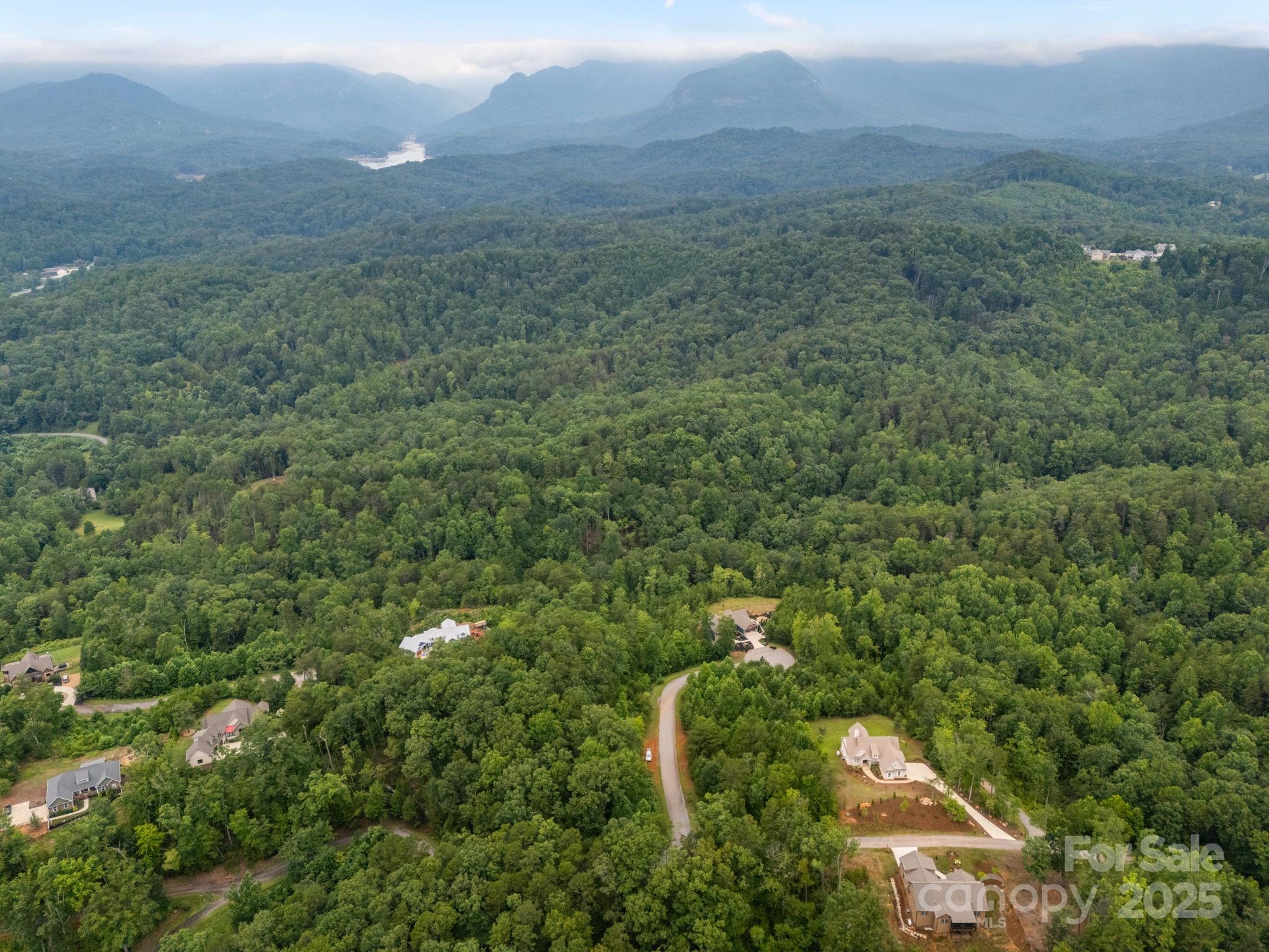 99999 Deer Jump Trail Lake Lure NC 28746