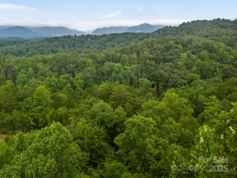 99999 Deer Jump Trail Lake Lure NC 28746