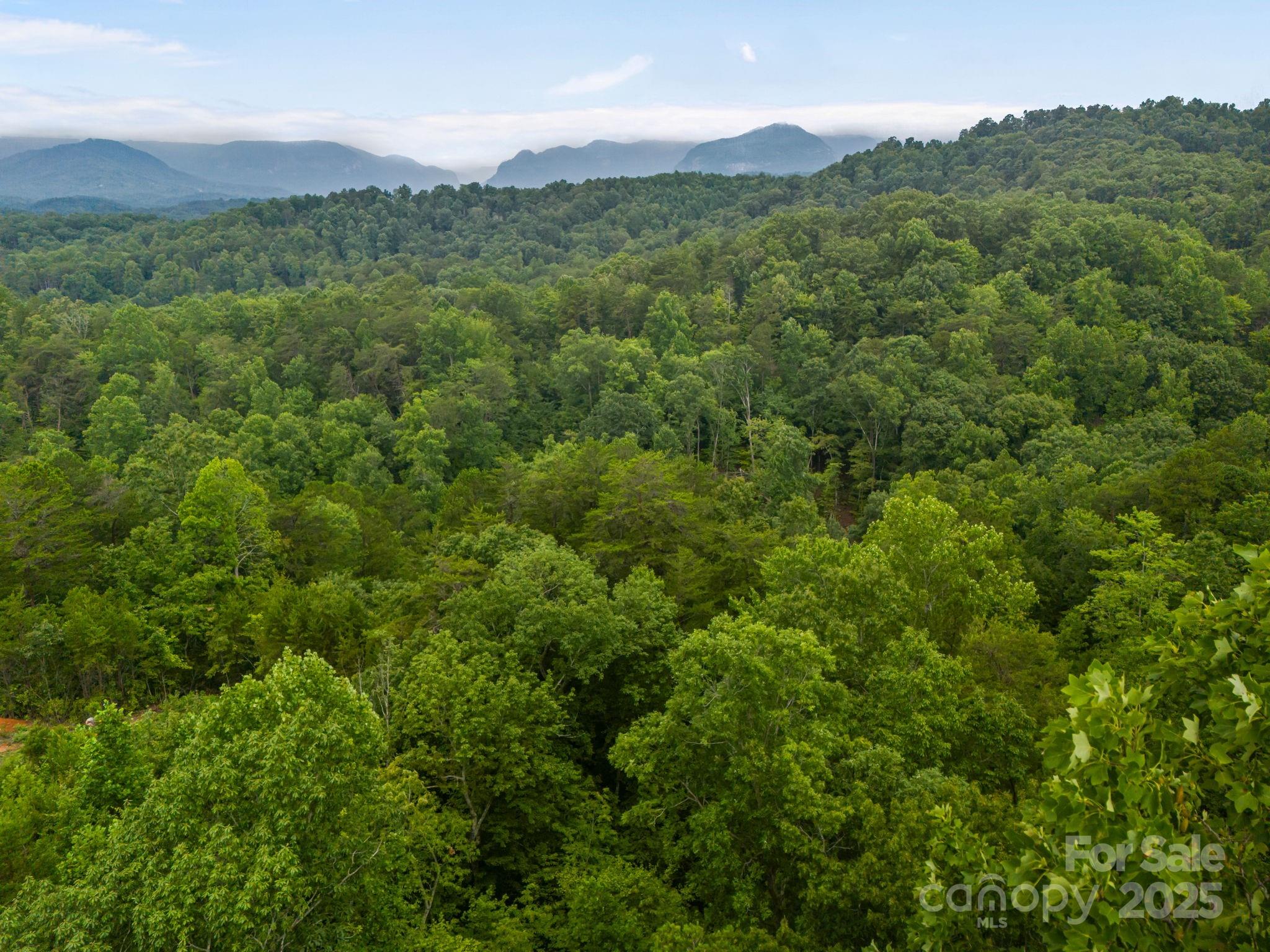 99999 Deer Jump Trail Lake Lure NC 28746