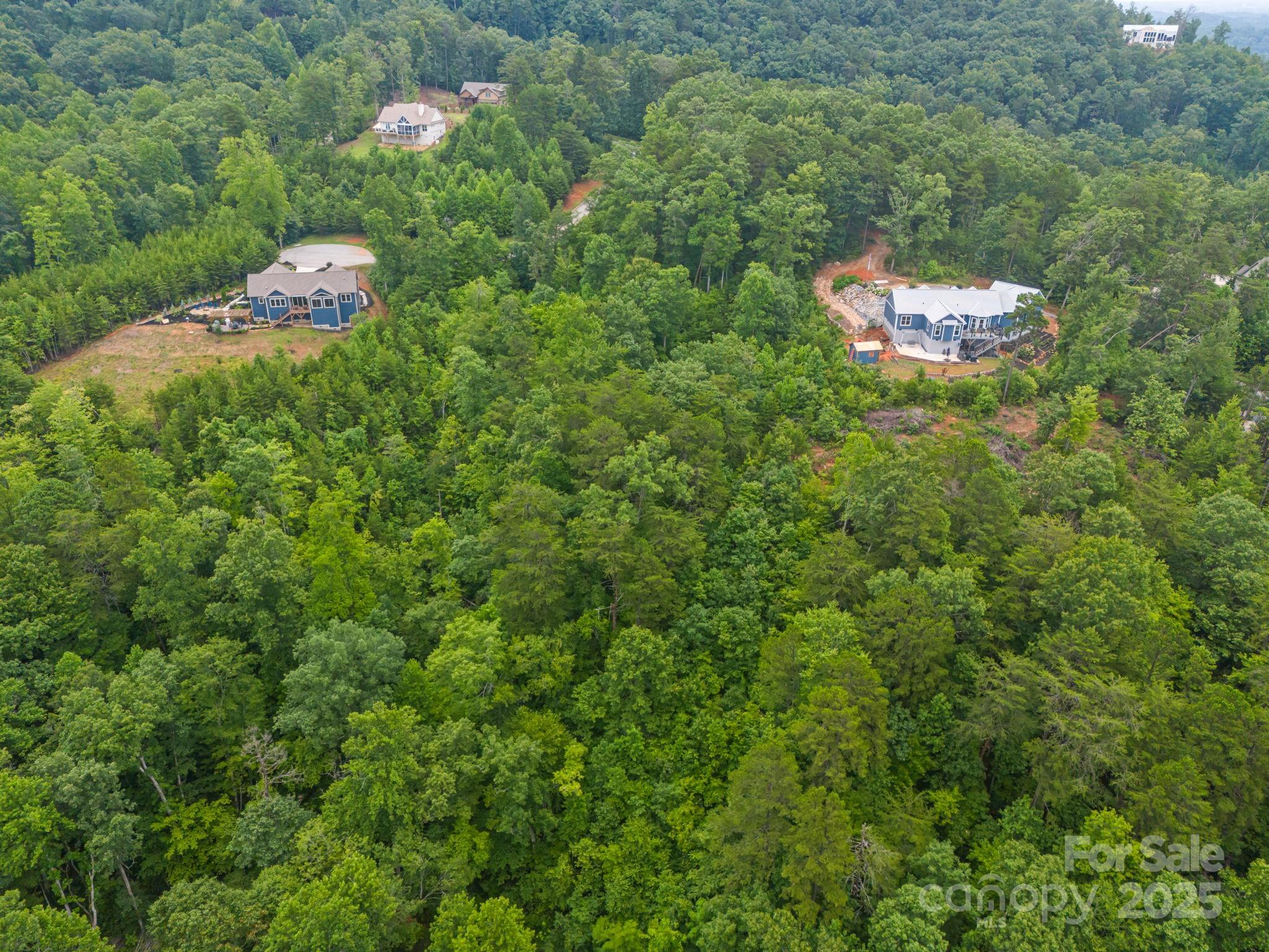 99999 Deer Jump Trail Lake Lure NC 28746