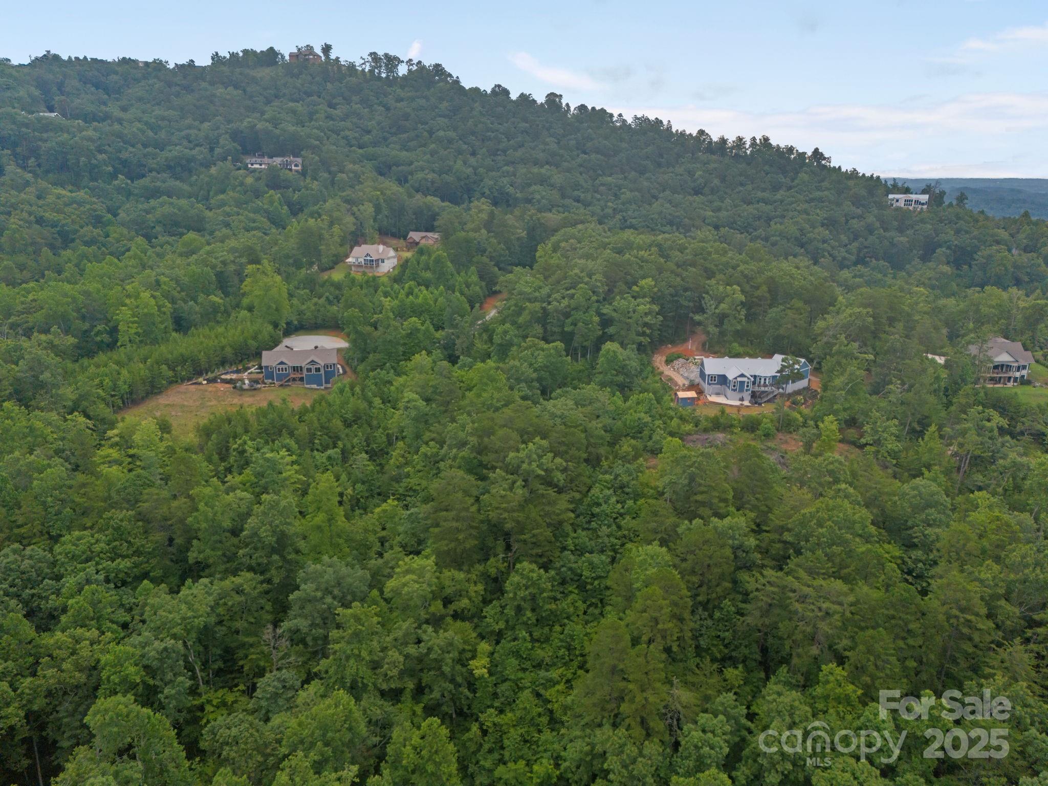 99999 Deer Jump Trail Lake Lure NC 28746