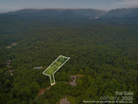 99999 Deer Jump Trail Lake Lure NC 28746