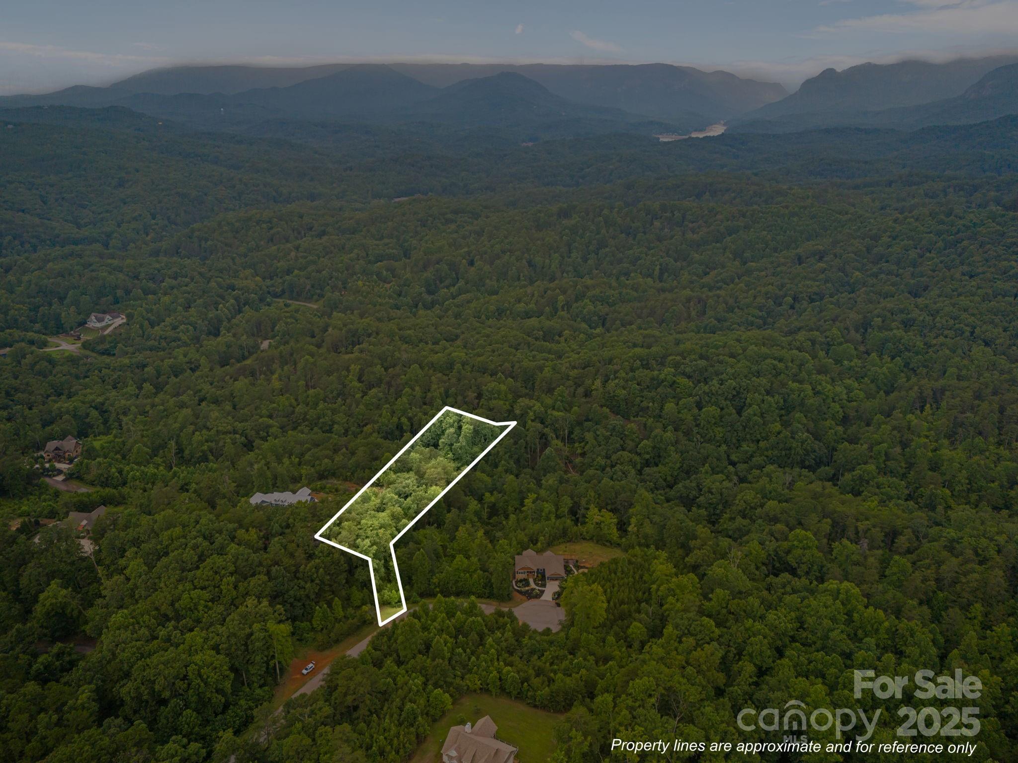 99999 Deer Jump Trail Lake Lure NC 28746