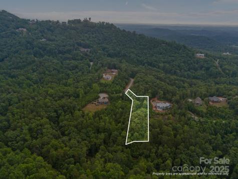 99999 Deer Jump Trail Lake Lure NC 28746