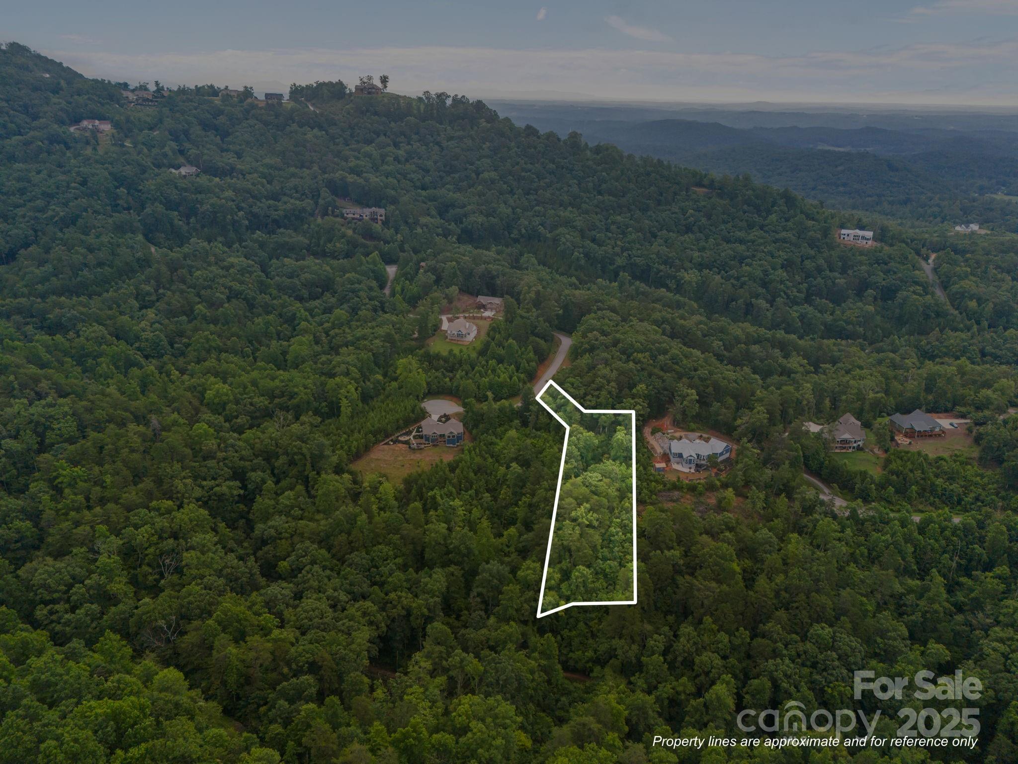 99999 Deer Jump Trail Lake Lure NC 28746