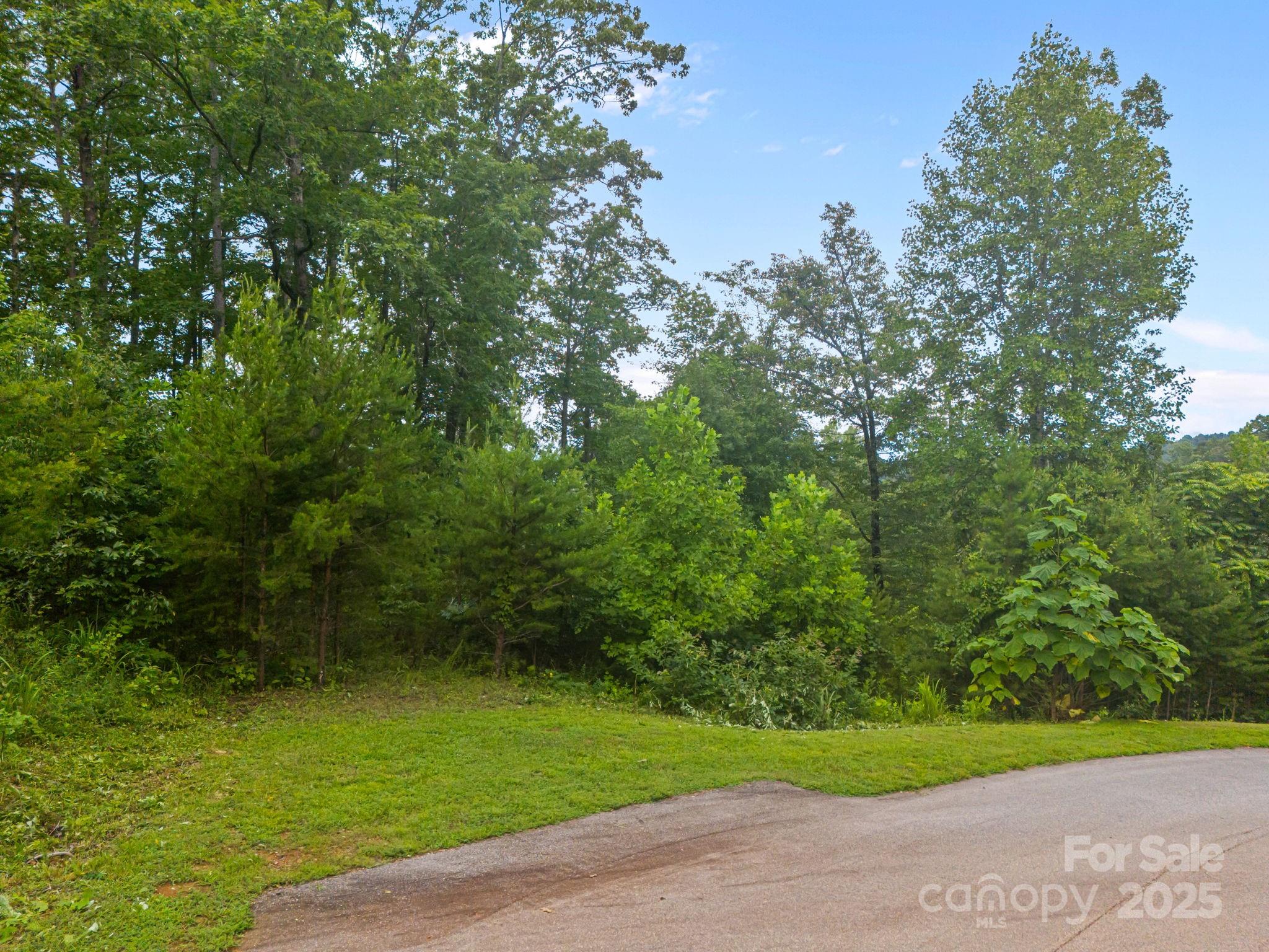 99999 Deer Jump Trail Lake Lure NC 28746