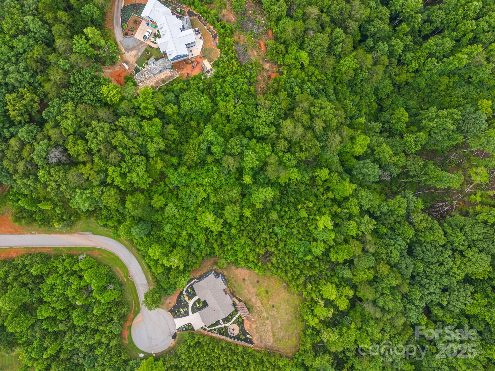99999 Deer Jump Trail Lake Lure NC 28746