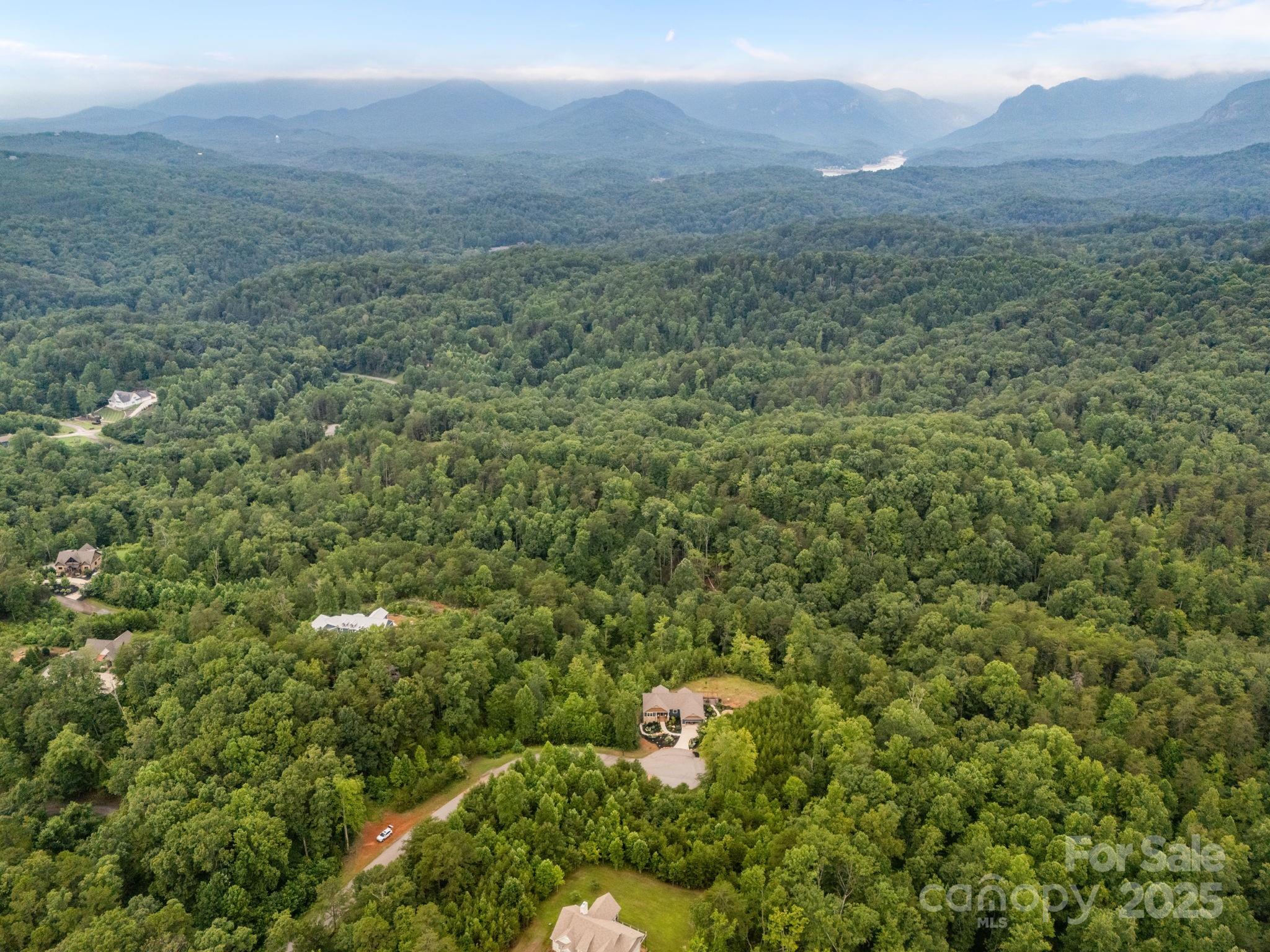99999 Deer Jump Trail Lake Lure NC 28746