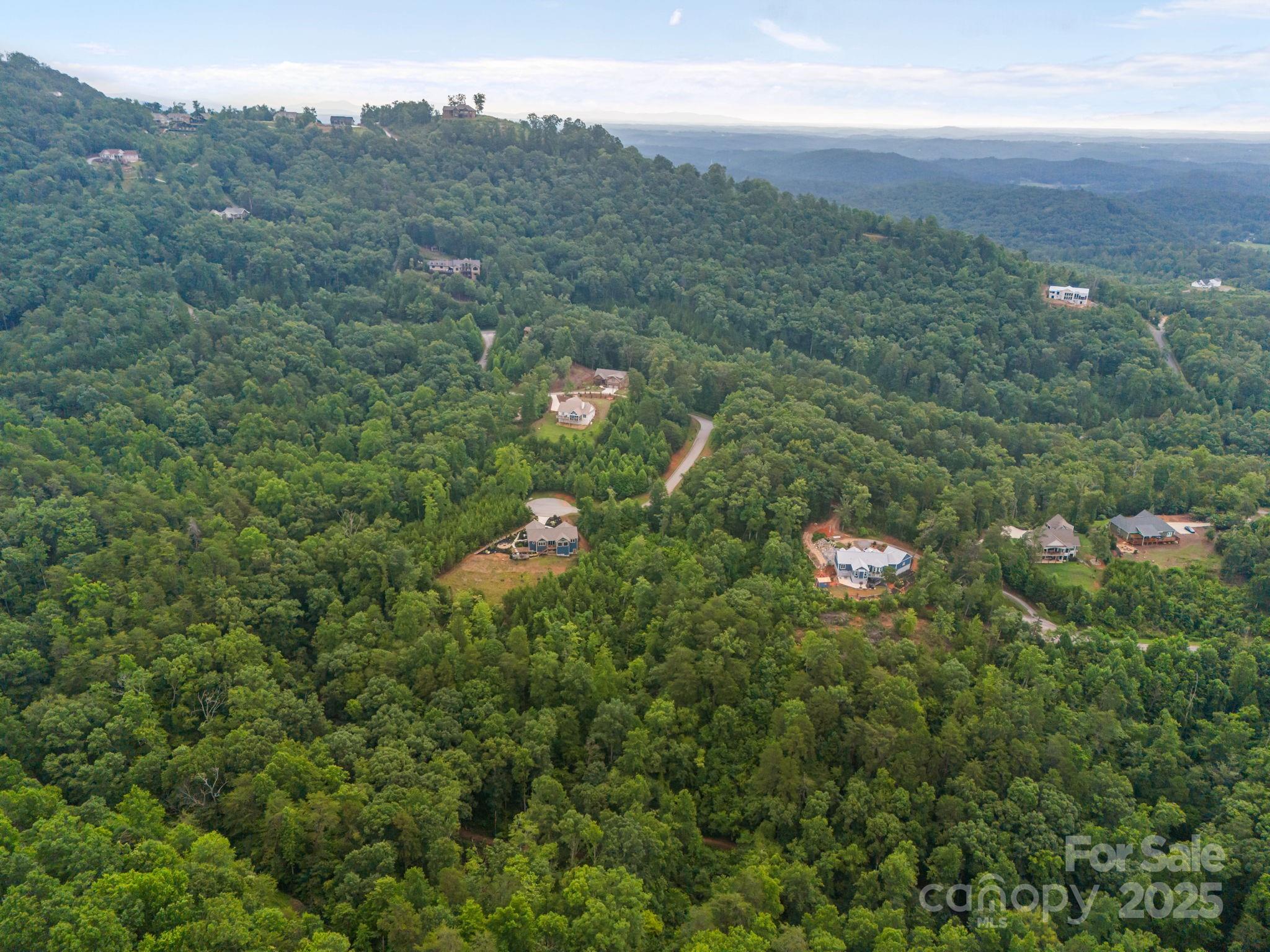 99999 Deer Jump Trail Lake Lure NC 28746