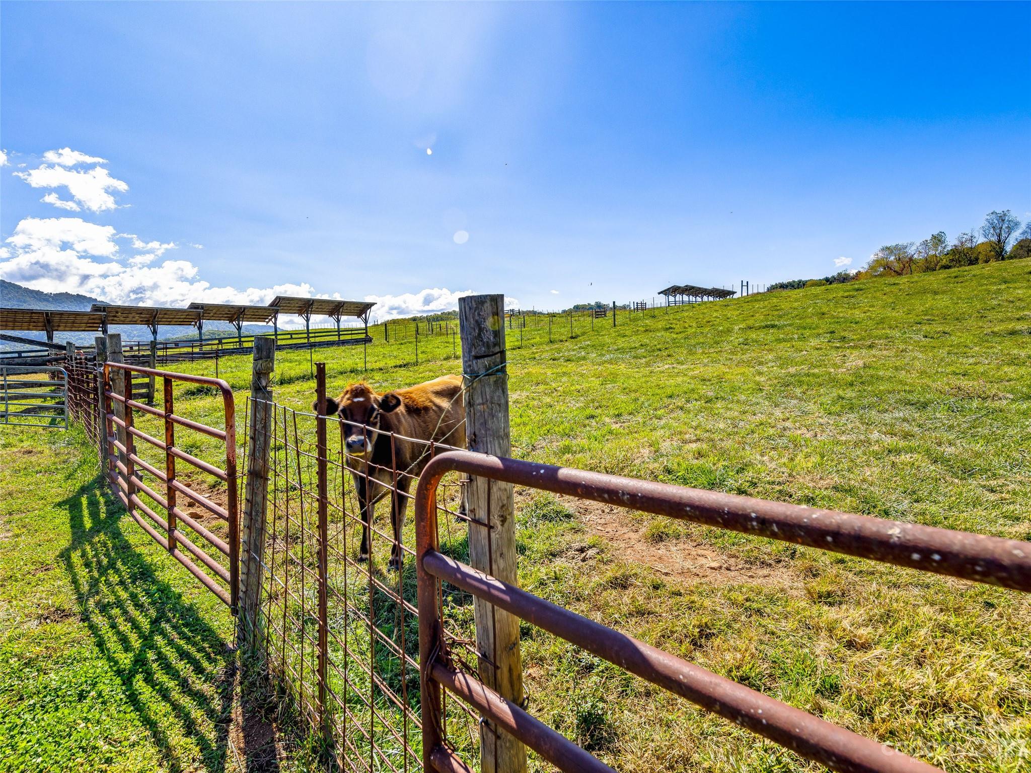 192 Ratcliff Cove Road Waynesville NC 28786