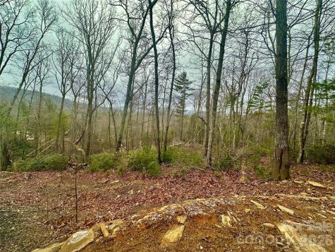 000 Orchard View Trail Spruce Pine NC 28777