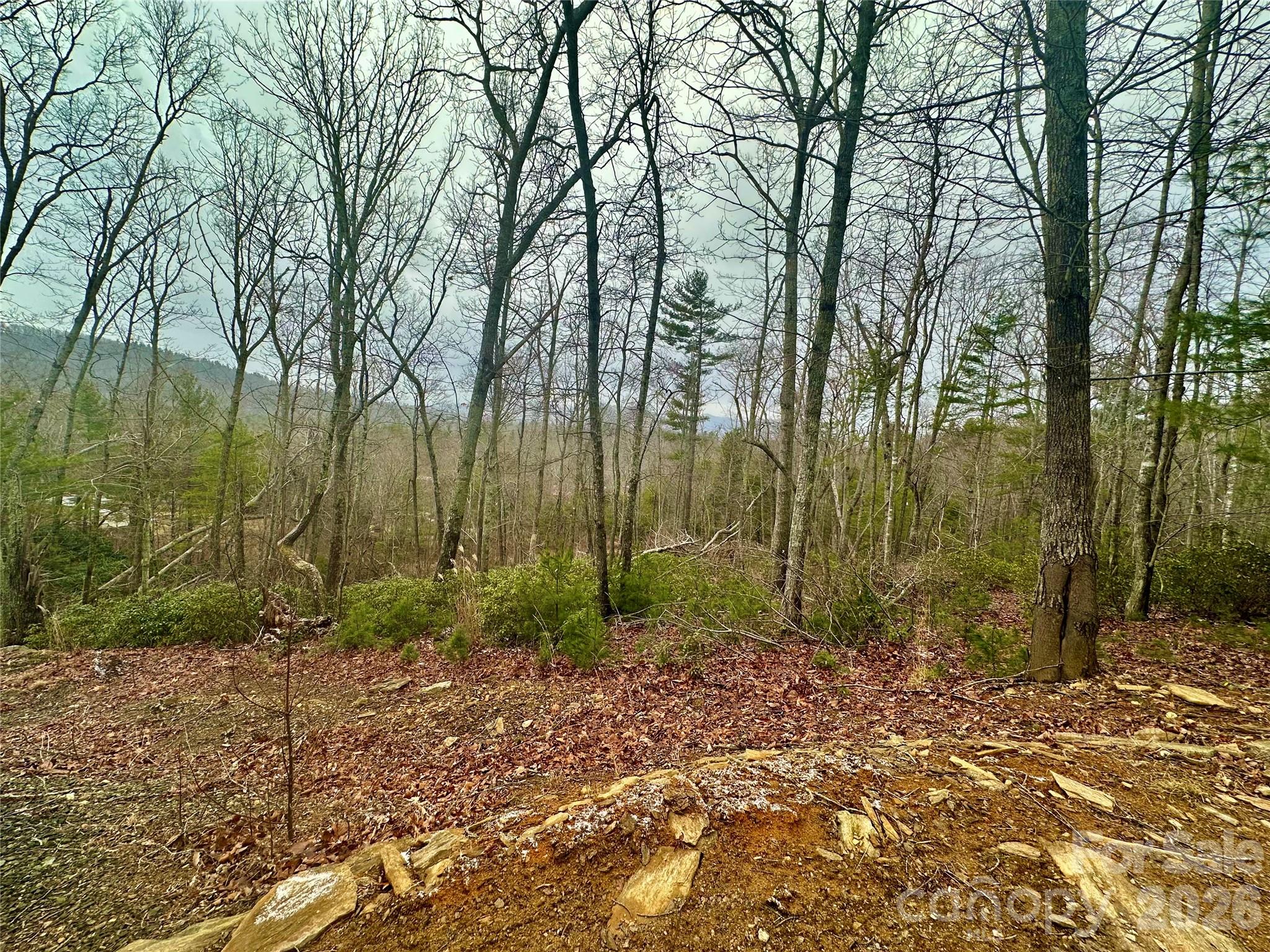 000 Orchard View Trail Spruce Pine NC 28777