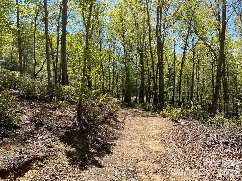 000 Orchard View Trail Spruce Pine NC 28777