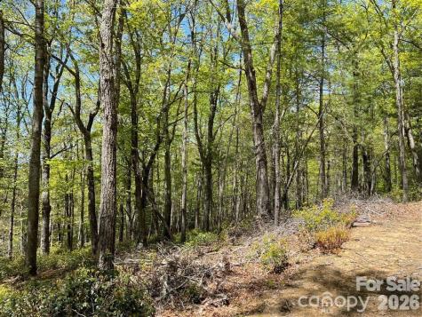 000 Orchard View Trail Spruce Pine NC 28777