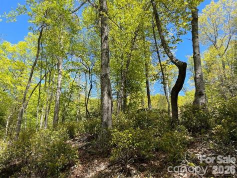 000 Orchard View Trail Spruce Pine NC 28777