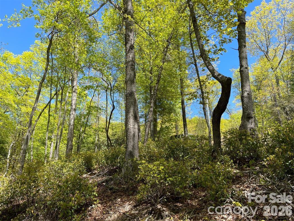 000 Orchard View Trail Spruce Pine NC 28777