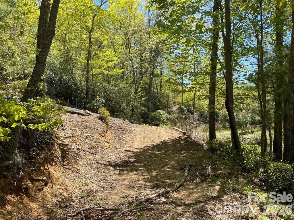 000 Orchard View Trail Spruce Pine NC 28777