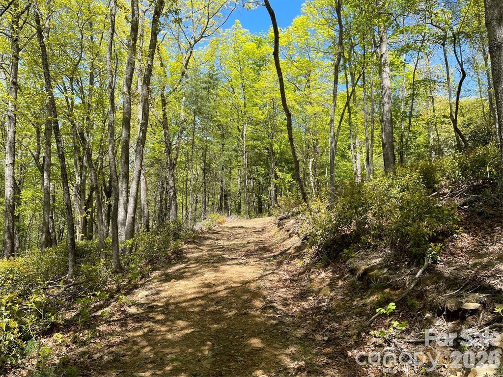 000 Orchard View Trail Spruce Pine NC 28777