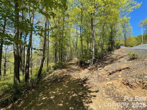 000 Orchard View Trail Spruce Pine NC 28777
