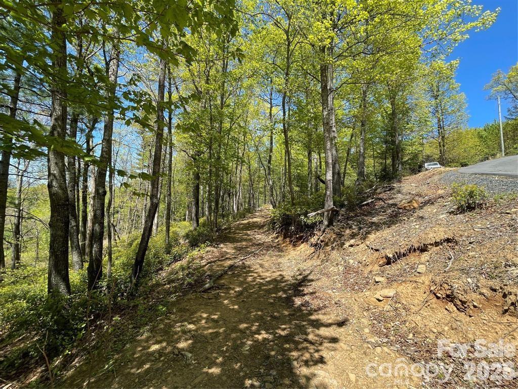 000 Orchard View Trail Spruce Pine NC 28777