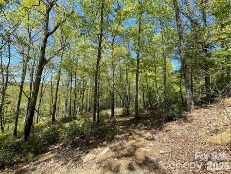 000 Orchard View Trail Spruce Pine NC 28777