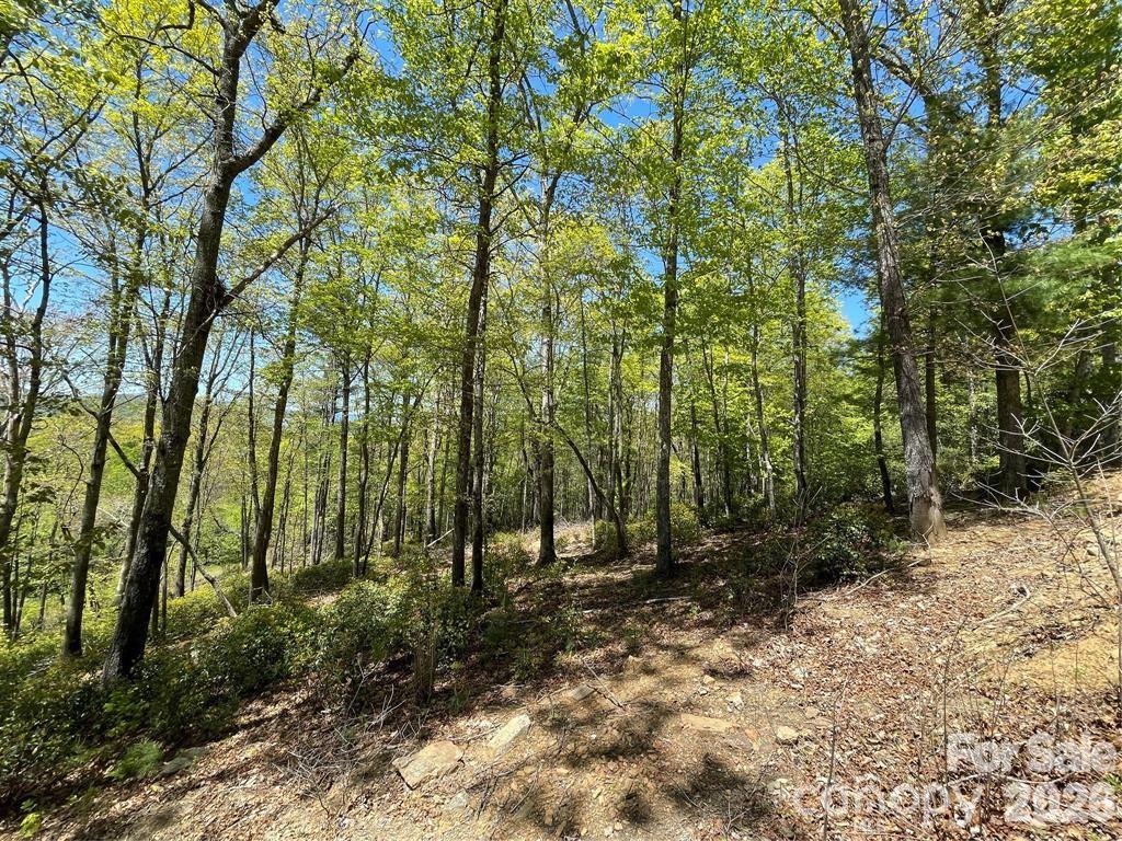 000 Orchard View Trail Spruce Pine NC 28777