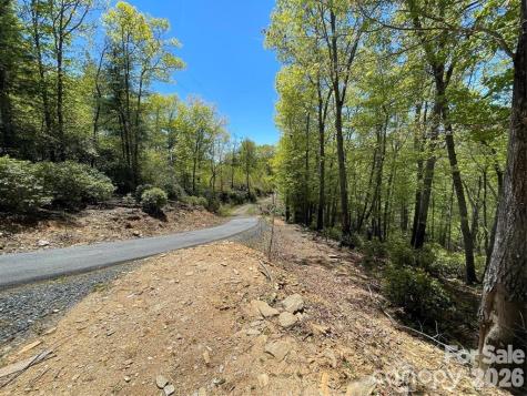 000 Orchard View Trail Spruce Pine NC 28777