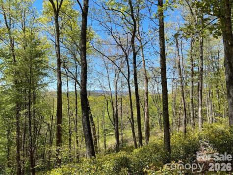 000 Orchard View Trail Spruce Pine NC 28777