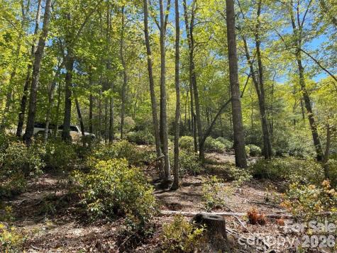 000 Orchard View Trail Spruce Pine NC 28777