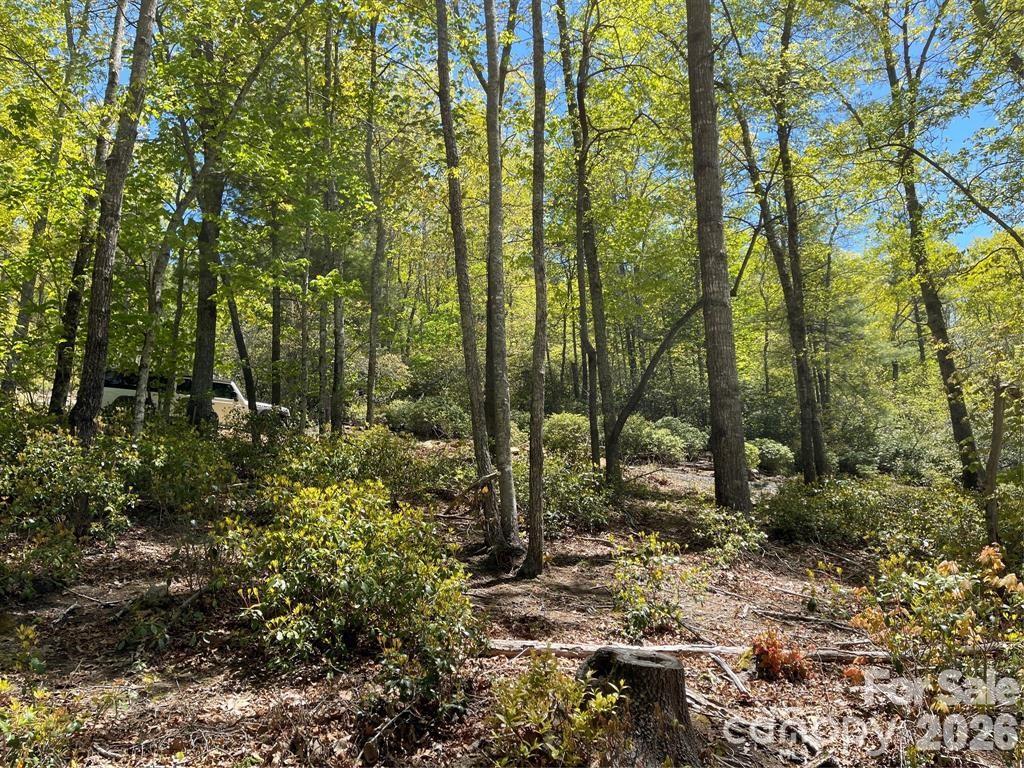 000 Orchard View Trail Spruce Pine NC 28777