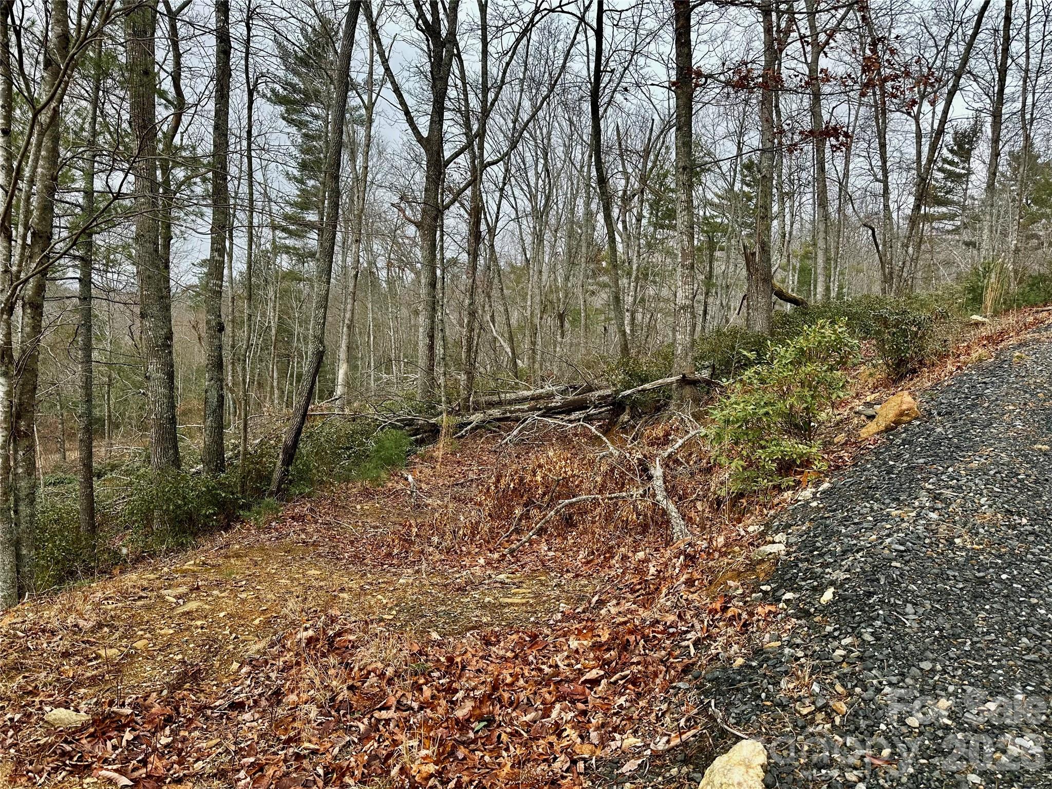 000 Orchard View Trail Spruce Pine NC 28777