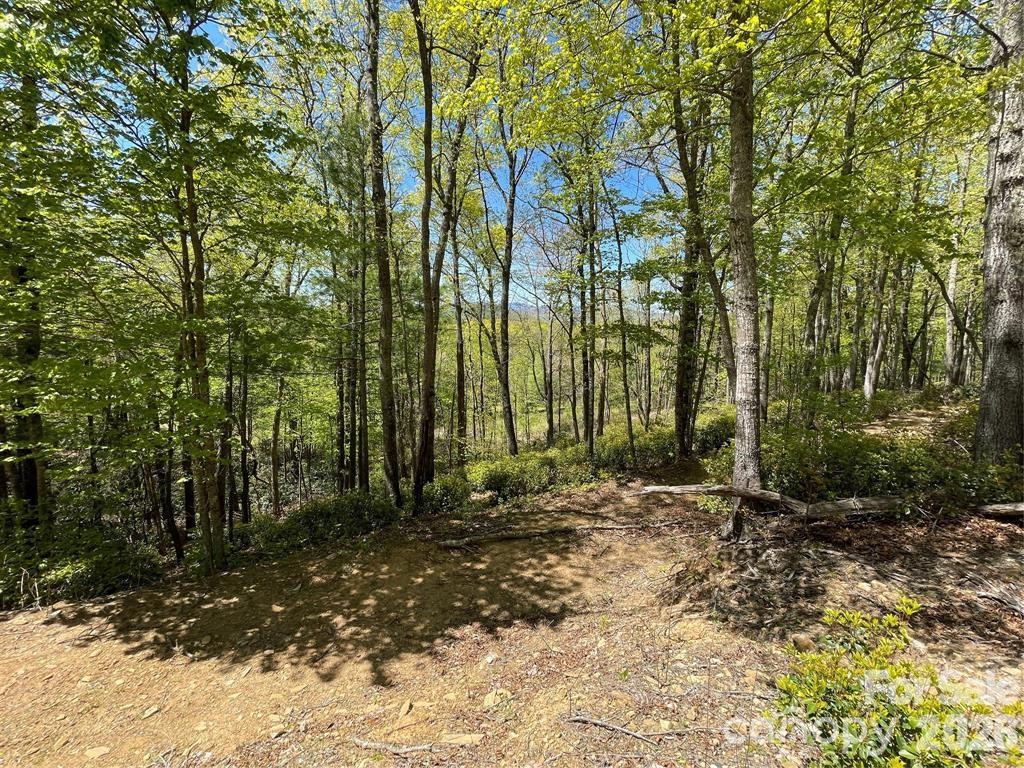 000 Orchard View Trail Spruce Pine NC 28777
