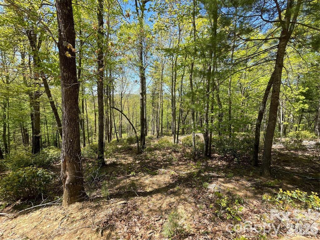 000 Orchard View Trail Spruce Pine NC 28777