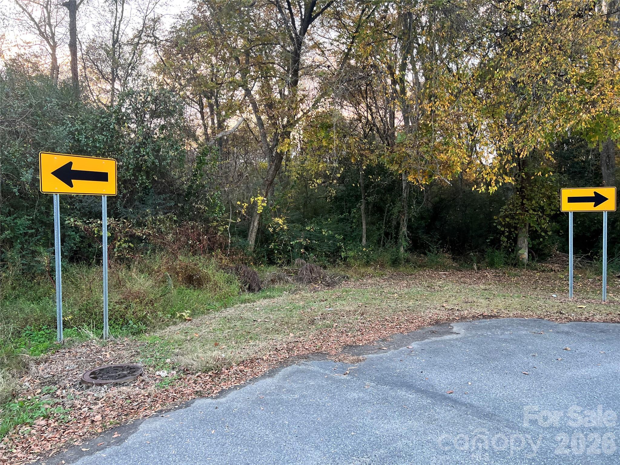 Tbd Willow Street Concord NC 28025