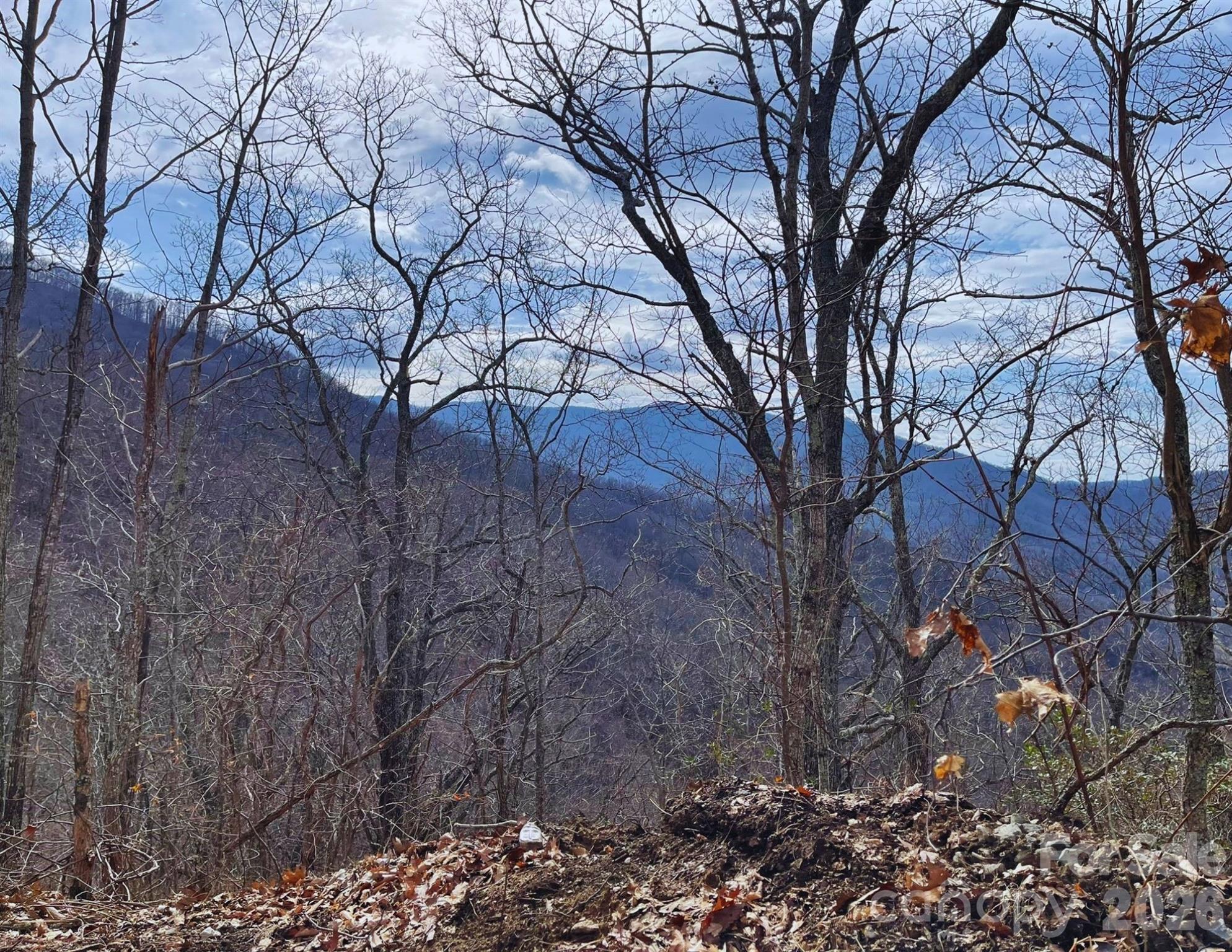 130 Gavin Glenn Road Weaverville NC 28787